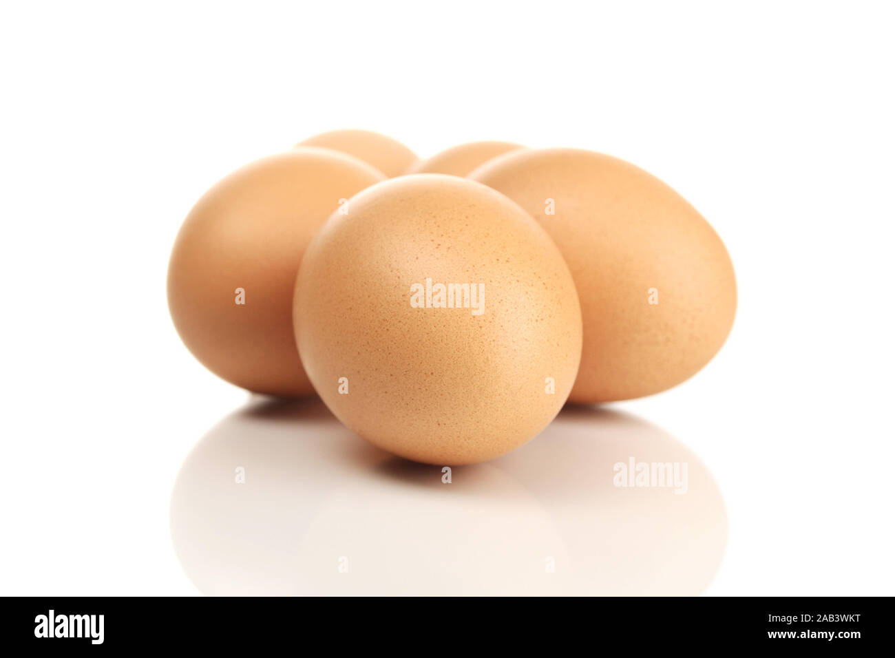 Frische Eier |Fresh eggs| Stock Photo