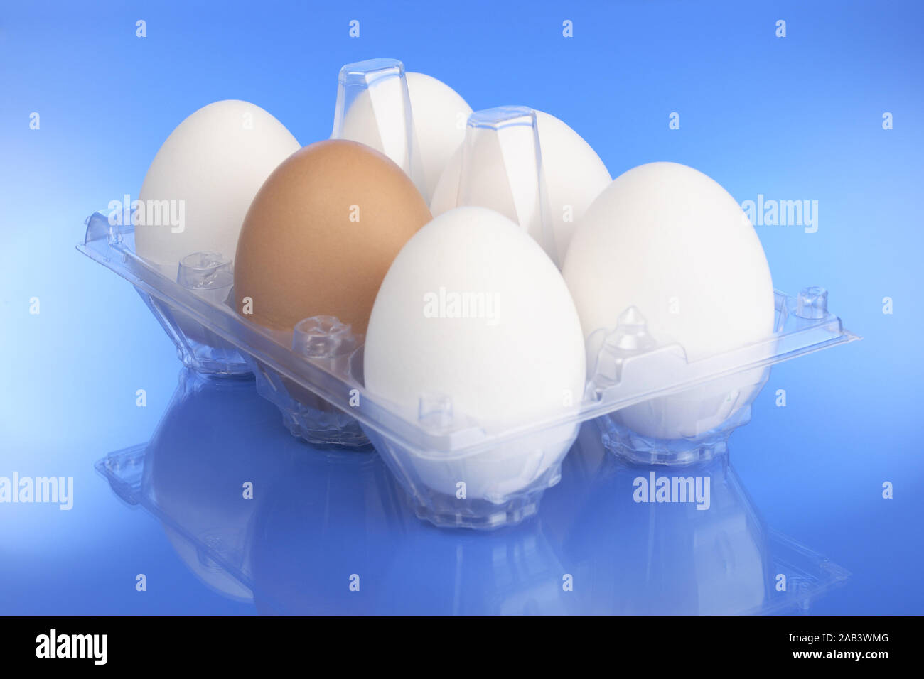 Packung mit frischen Eiern |Pack of fresh eggs| Stock Photo