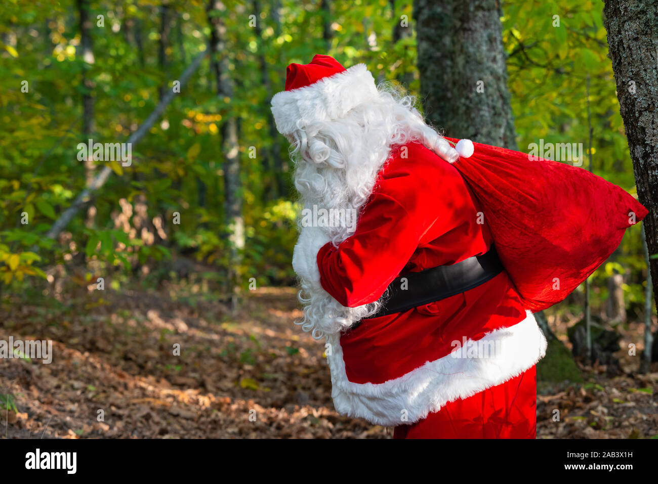 santa claus in the forest with red sack Stock Photo