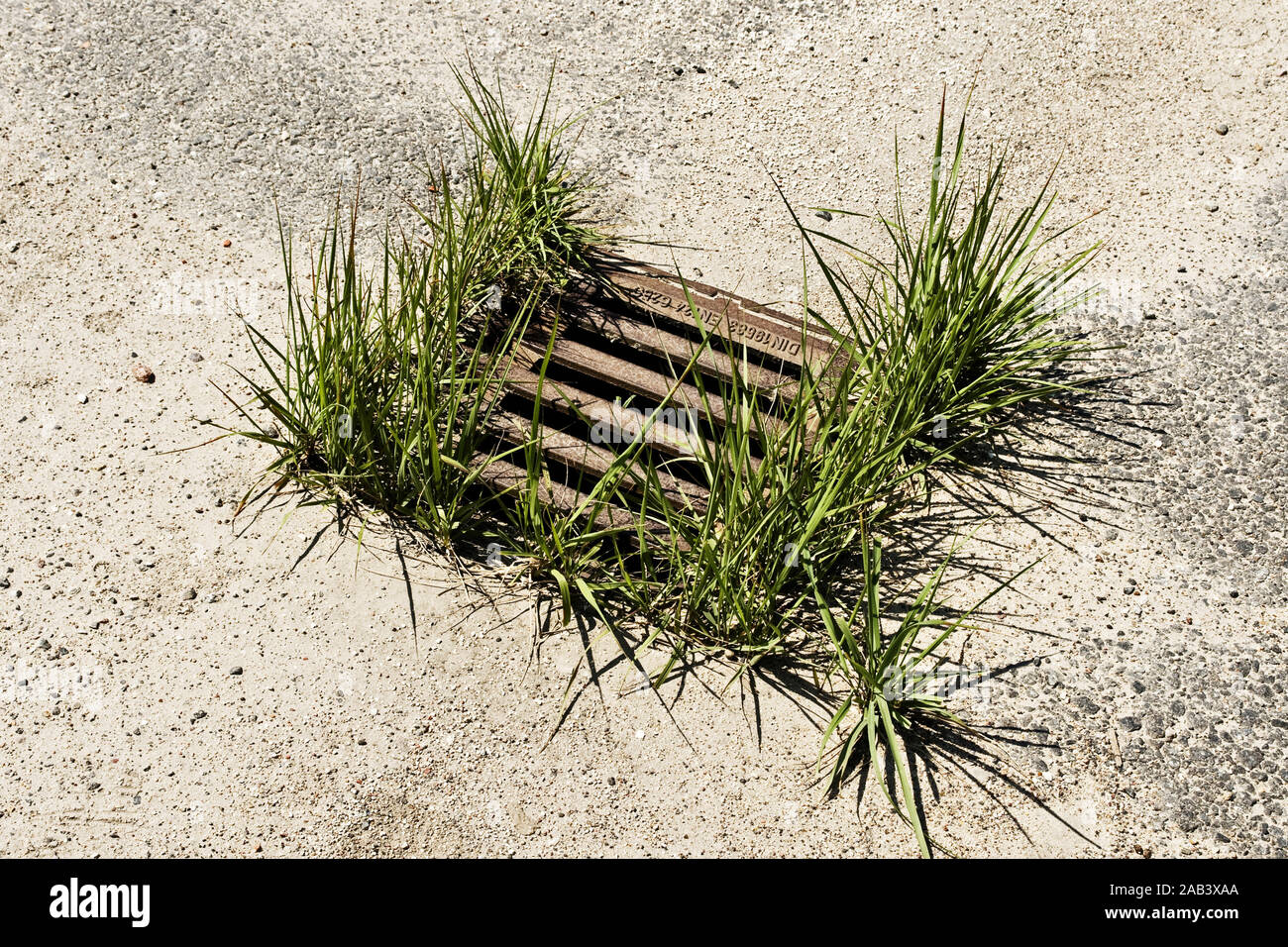 Gullideckel umwachsen von Gras |Manhole cover round of grass cover| Stock Photo