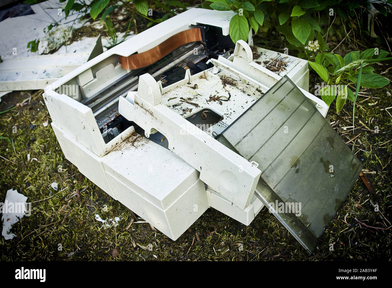 Alter Tintenstrahldrucker auf einer wilden Müllhalde |Old inkjet printer on a wild dump| Stock Photo