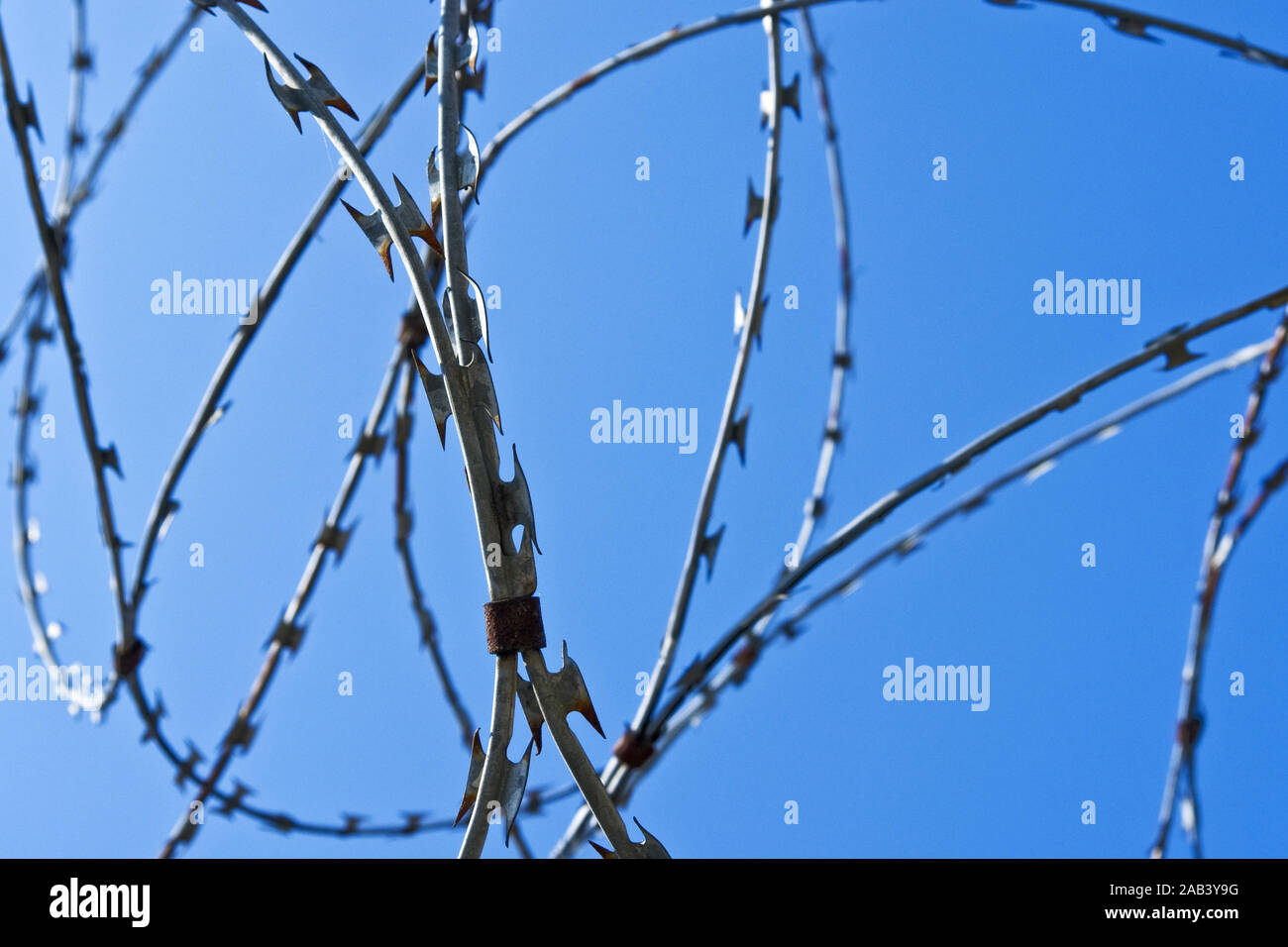 Stacheldraht an einem Zaun |Barbed wire on a fence| Stock Photo