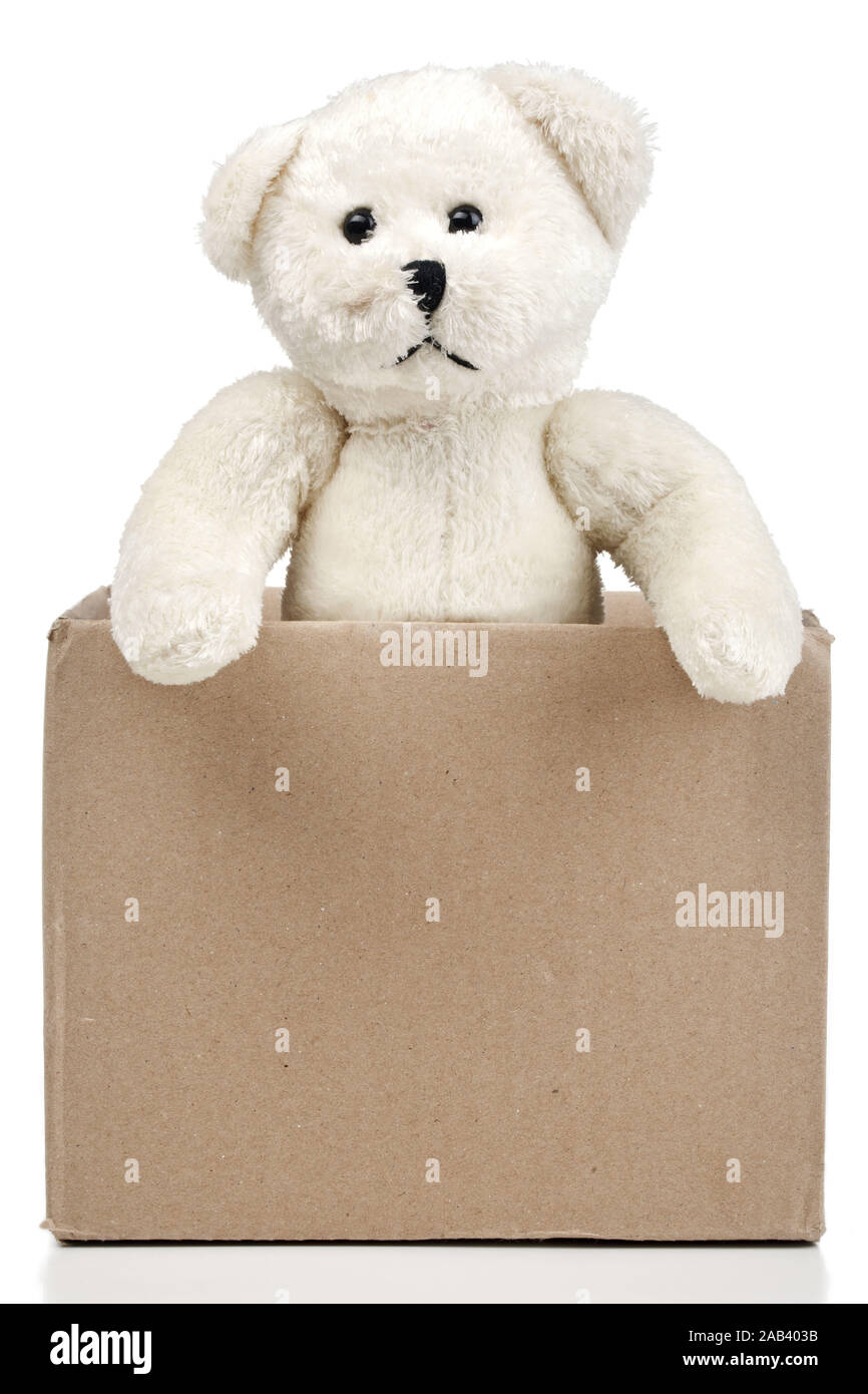 Stoffteddy in einem Karton |Teddy in a box| Stock Photo