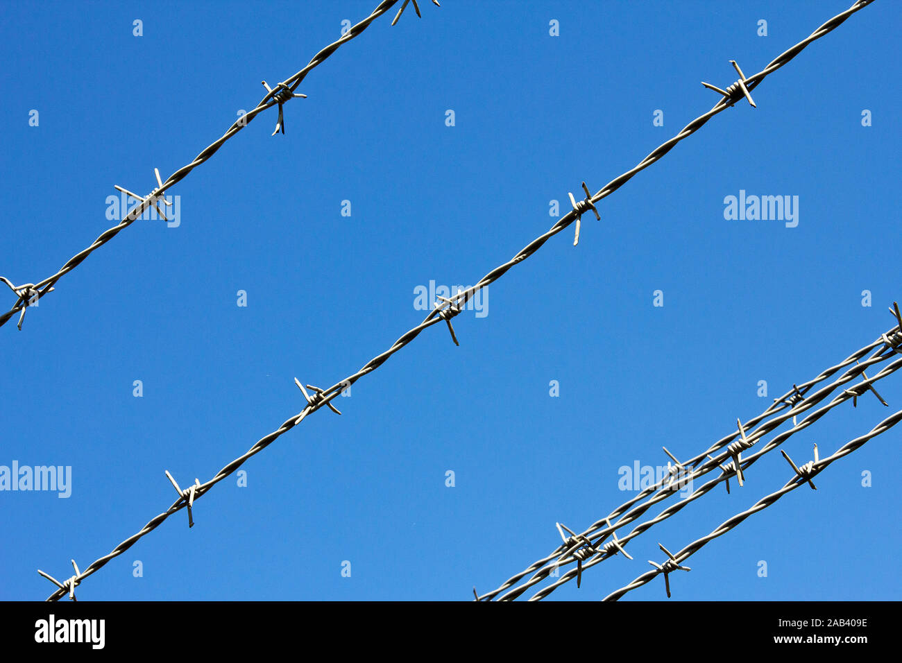 Stacheldrahtzaun vor strahlend blauem Himmel |Barbed wire fence in front of a bright blue sky| Stock Photo