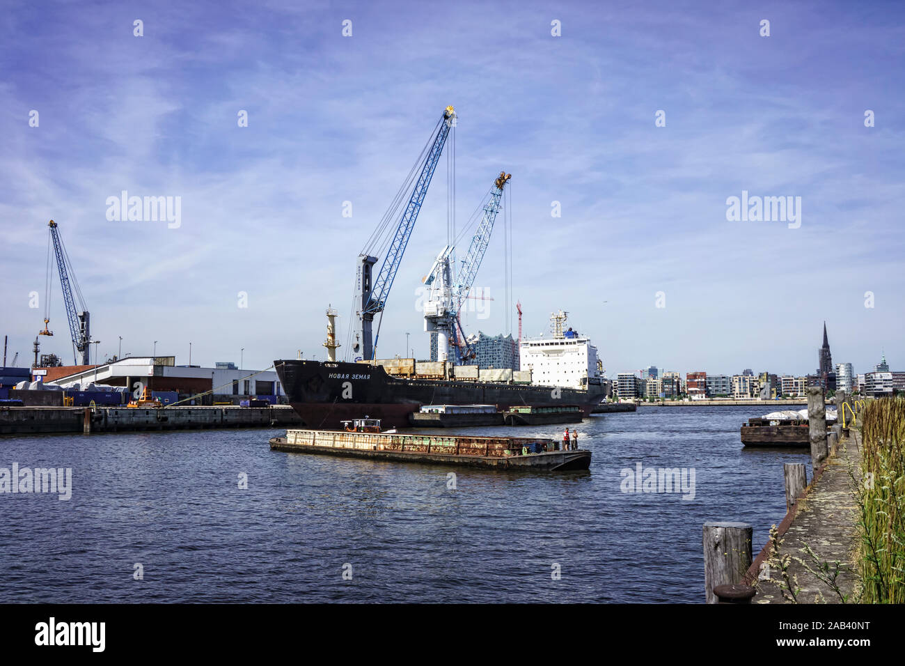 Frachter beim Löschen der Ladung im Hamburger Hafen |The discharge of the cargo freighter in the harbor of Hamburg| Stock Photo