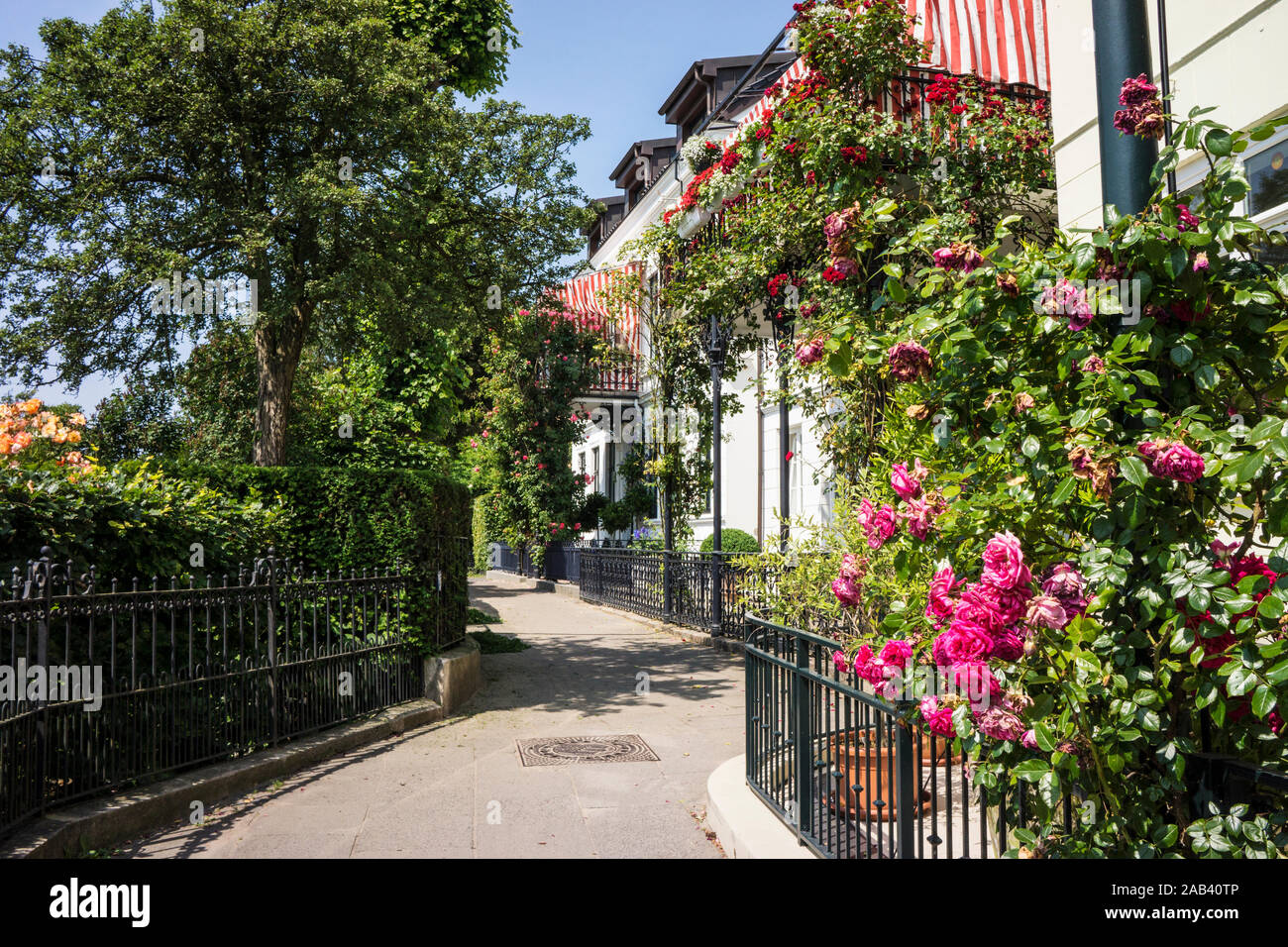 Ein schmaler Fußweg mit idyllisch gelegenen Wohnhäusern an der Elbe| A narrow footpath with idyllic homes on the Elbe| Stock Photo