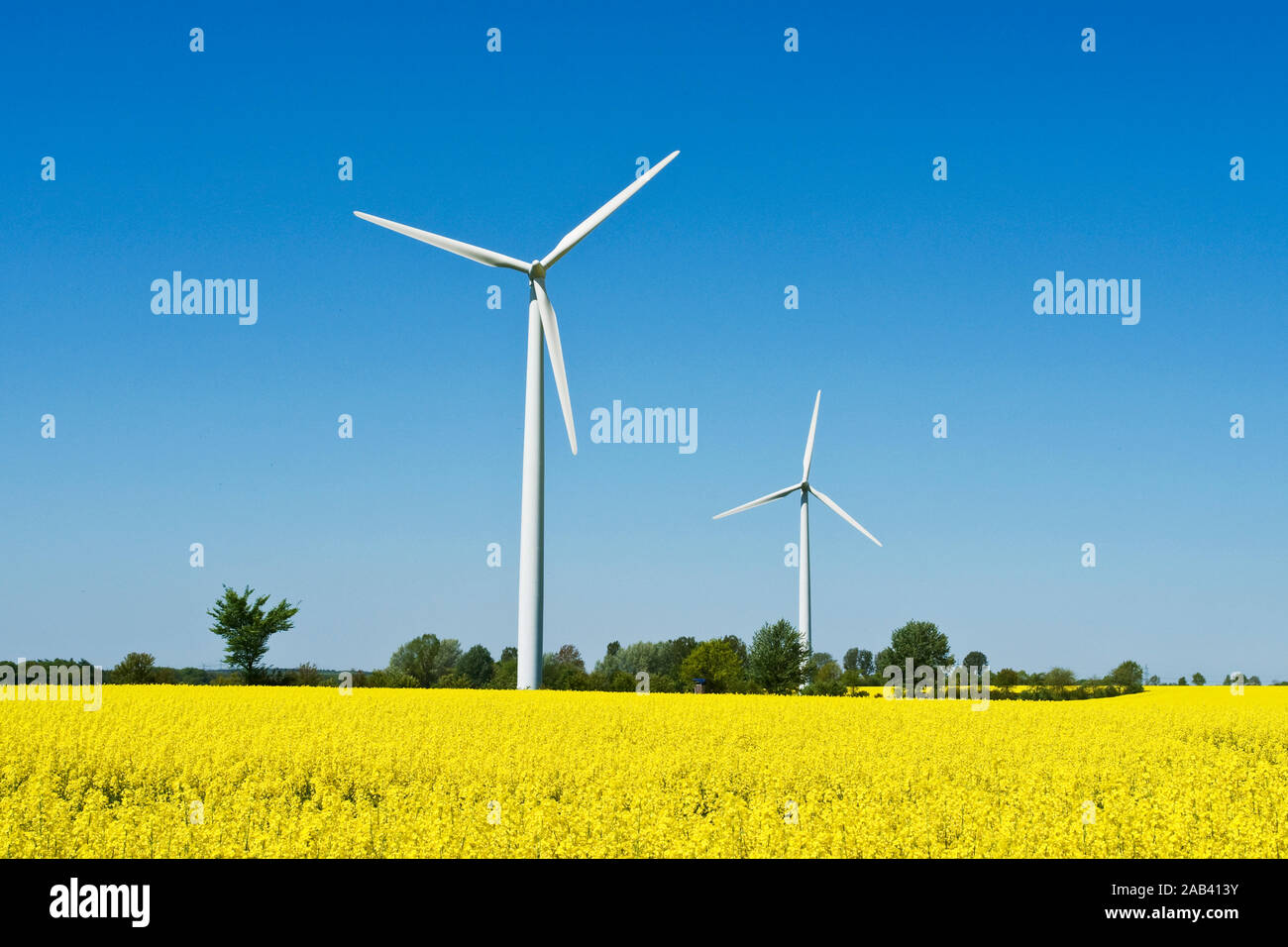 Windkraftanlagen in einem Rapsfeld Stock Photo