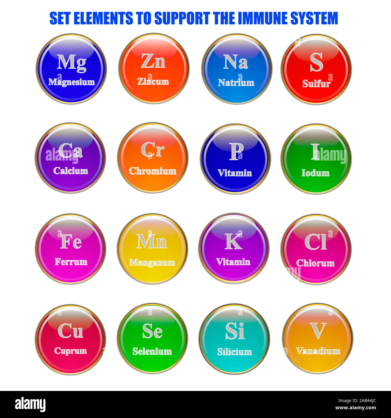 Set elements and vitamins to support immune system. Illustration with isolated white background