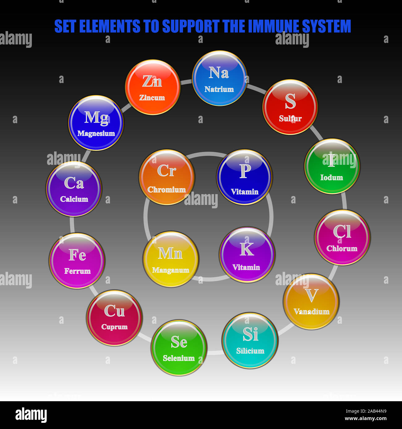 Set elements and vitamins to support immune system. Illustration with isolated white background