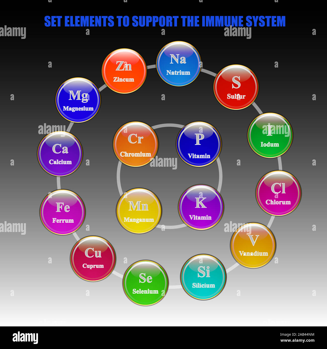 Set elements and vitamins to support immune system. Illustration with
