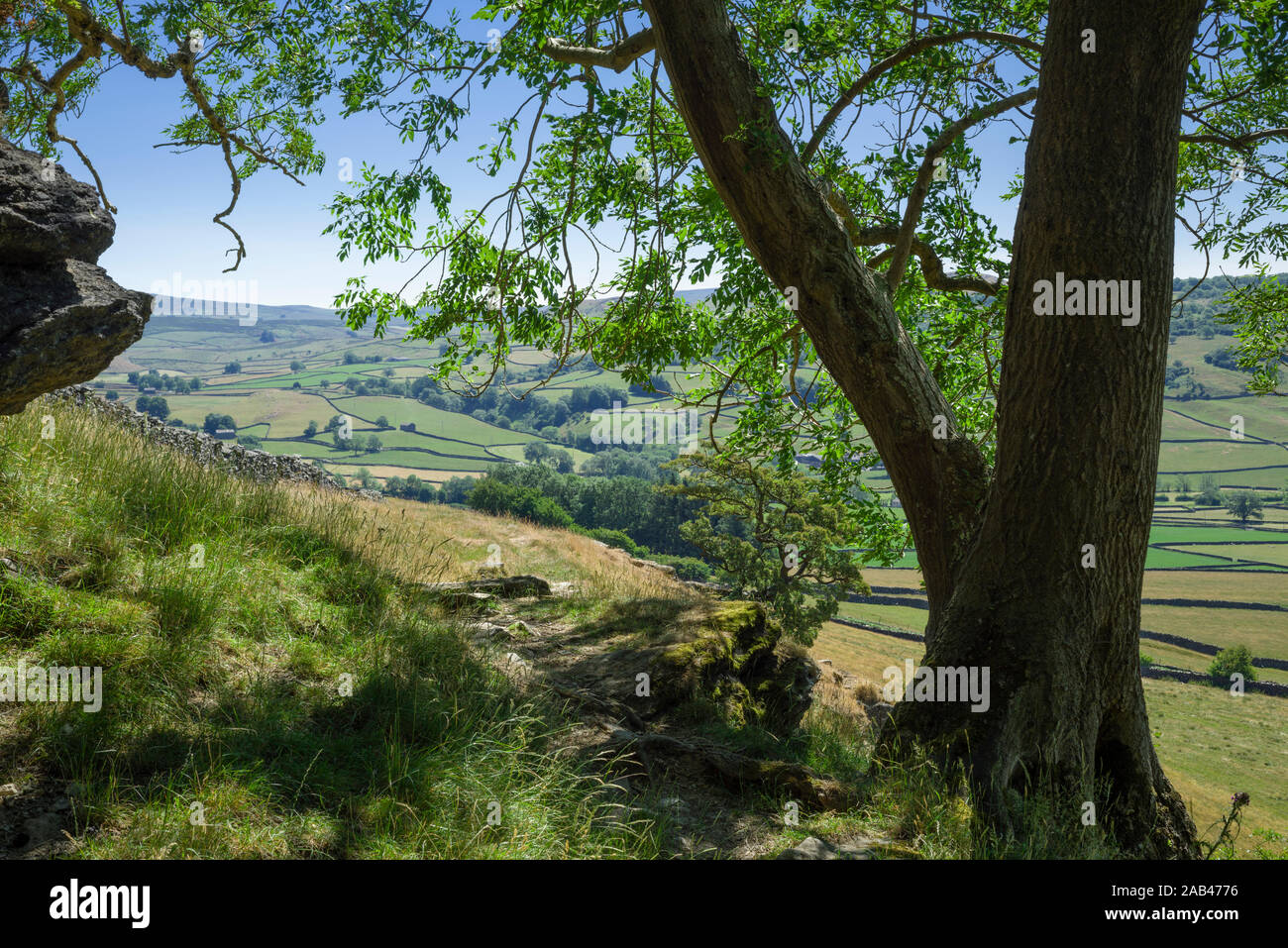 Nappa Scars in the Yorkshire Dales National Park near Austwick, North Yorkshire, England. Stock Photo