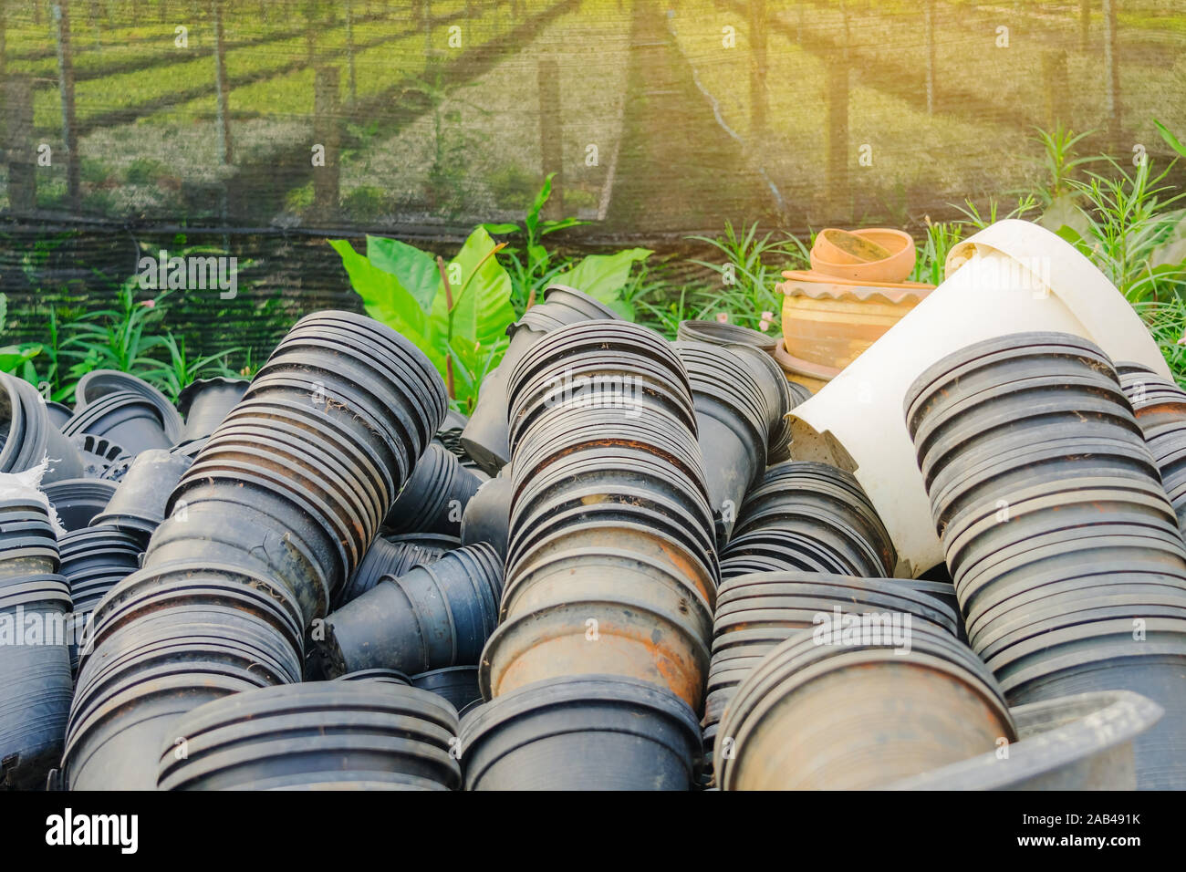 Pile of pots of many old plants that are not in use in front of the orchid breeding garden. Stock Photo