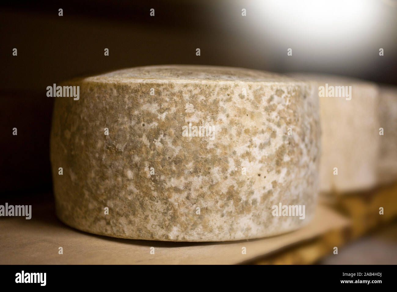 cheese with herbs on shelf in the cave where it ripens Stock Photo Alamy