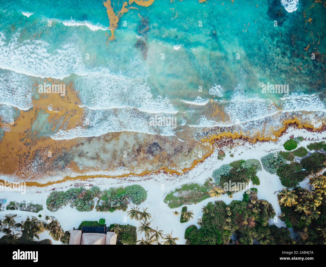 Aerial Picture of the Akumal Bay in Quintana Roo, Mexico during Sunset Stock Photo