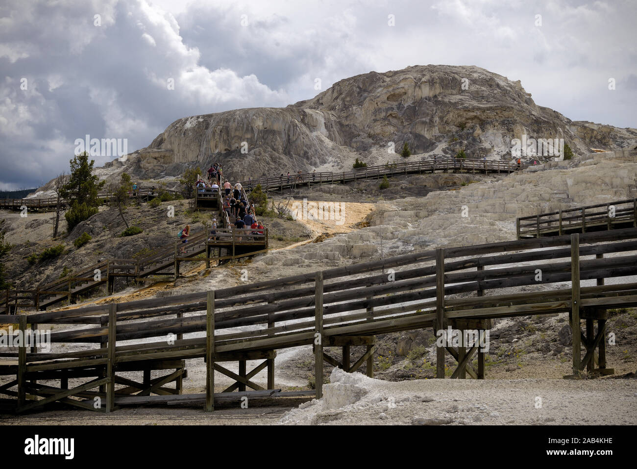 This wooden boardwalk takes Yellowstone National Park visitors to areas of the Mammoth Hot Springs Terraces. Stock Photo