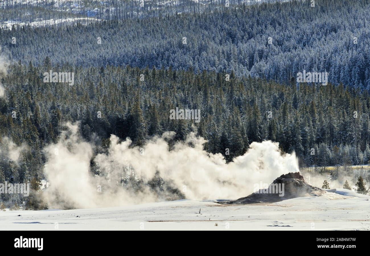 Small geysers in wintertime dot the landscape of Yellowstone National Park with steam and mist, which covers the trees in hoarfrost. Stock Photo