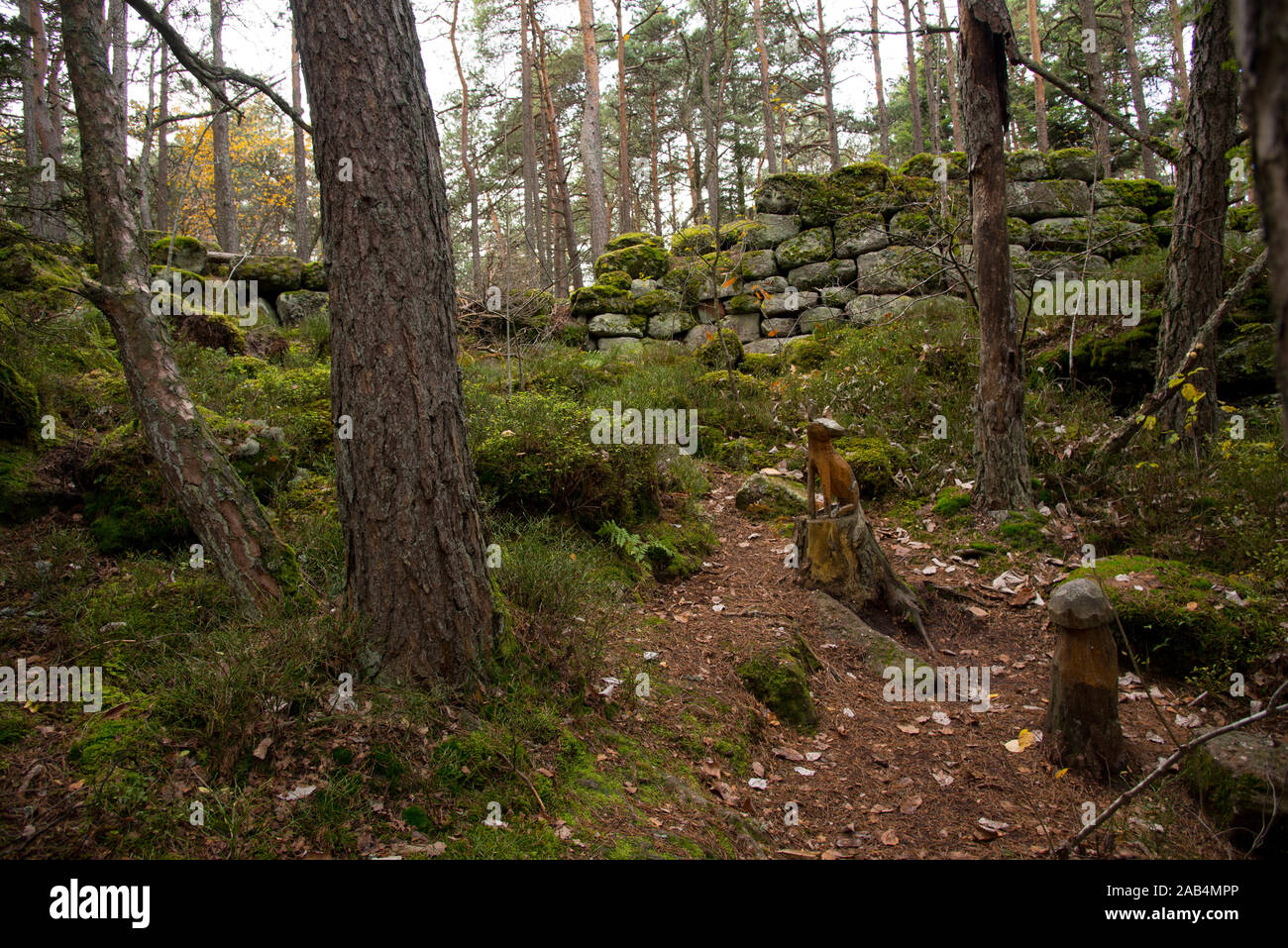 Pagan wall around the monastery Mont Saint Odile in the Vosges mountains in France Stock Photo