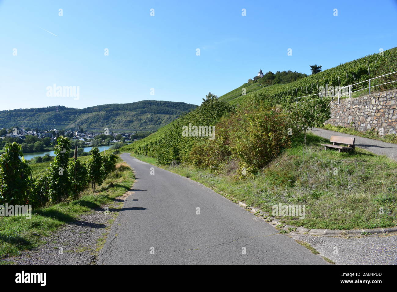 in Mosel valley near Zell Stock Photo