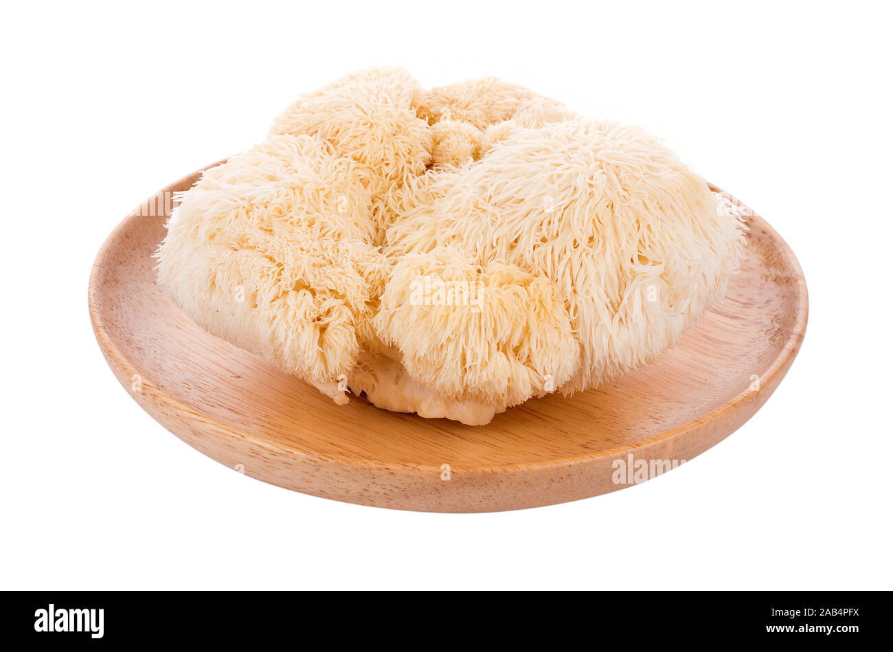 lion mane mushroom isolated on white background Stock Photo