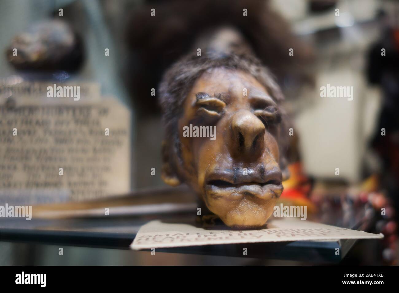 The shrunken head us hires stock photography and images Alamy