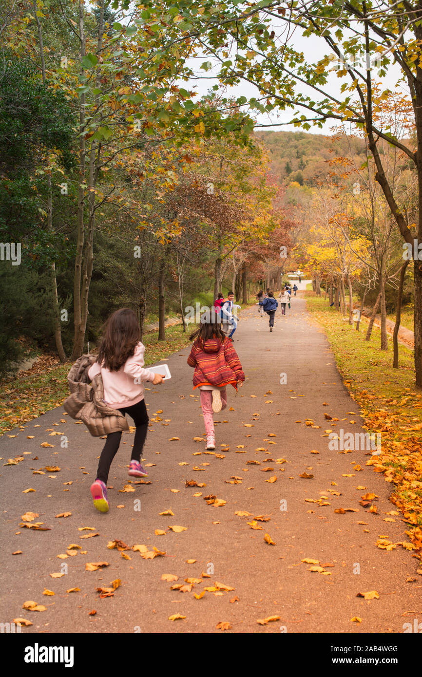 Kids running down a road with yellow leaves in autumn Stock Photo