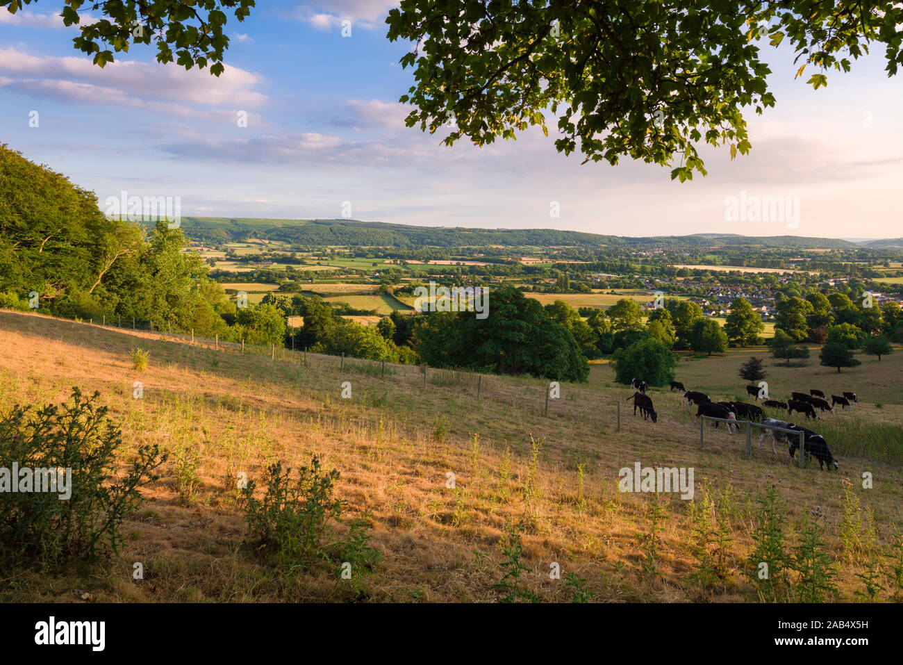 A summer evening view from Old Hill over the village of Wrington with the Mendip Hills beyond. North Somerset, England. Stock Photo