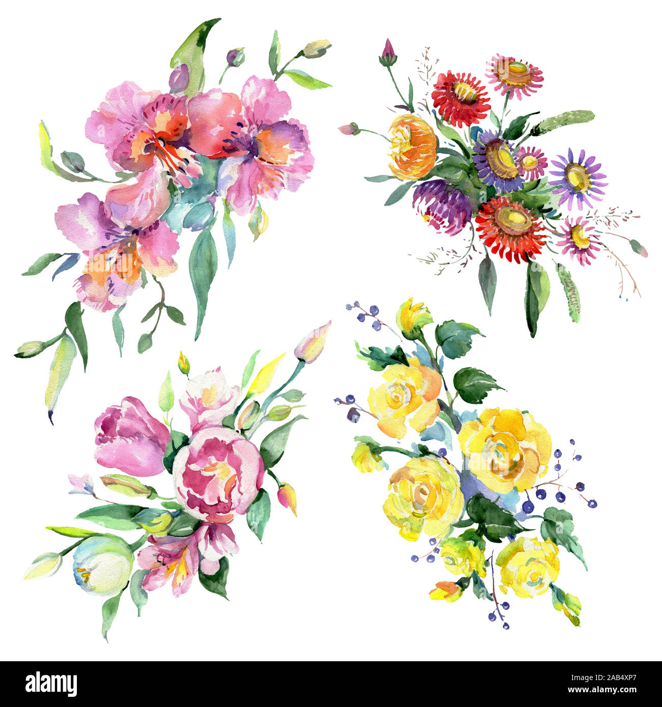 Bouquet floral botanical flowers. Watercolor background illustration ...