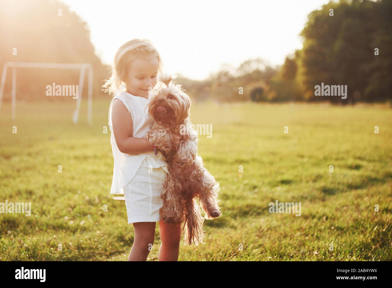 Happy girl with her dog in the park at sunset Stock Photo - Alamy