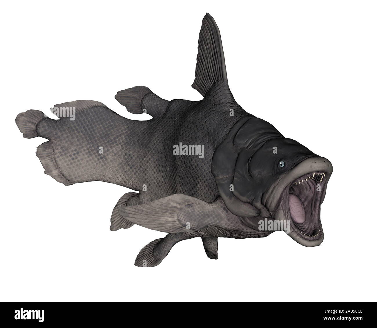 Cosmoid scales Cut Out Stock Images & Pictures Alamy