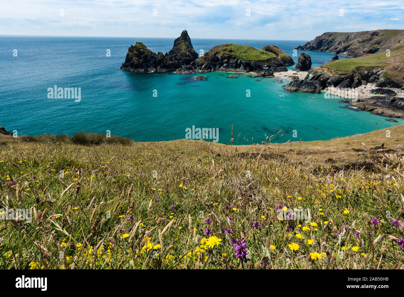 The picturesque and popular tourist destination of Kynance Cove in Cornwall showing the beautiful rugged Cornish landscape with wildflowers at its bes Stock Photo