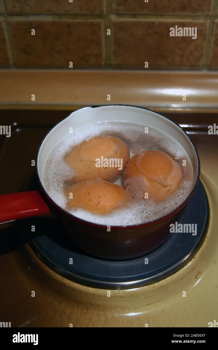 Boiling eggs. Cooking eggs. Making breakfast. Boiling eggs in a pot