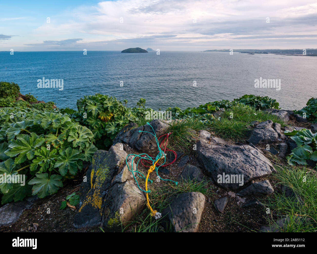 Fishing string rubbish collected by seabirds on Lamb Island with view of Firth of Forth, Scotland, UK Stock Photo