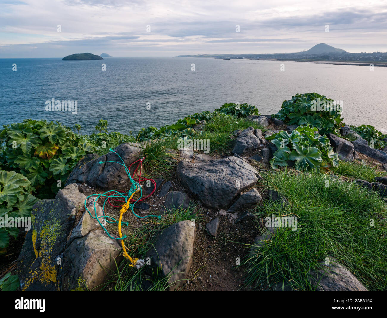 Fishing string rubbish collected by seabirds on Lamb Island with view of Firth of Forth, Scotland, UK Stock Photo