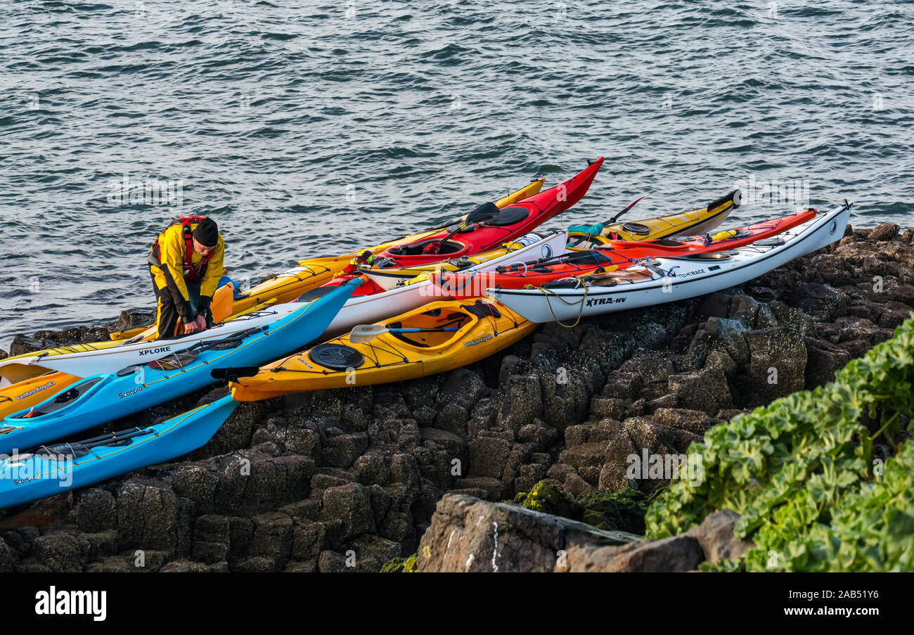 Lothian Sea Kayak Clubs sea kayaks on rocky shore landing, Lamb Island, Firth of Forth, Scotland, UK Stock Photo