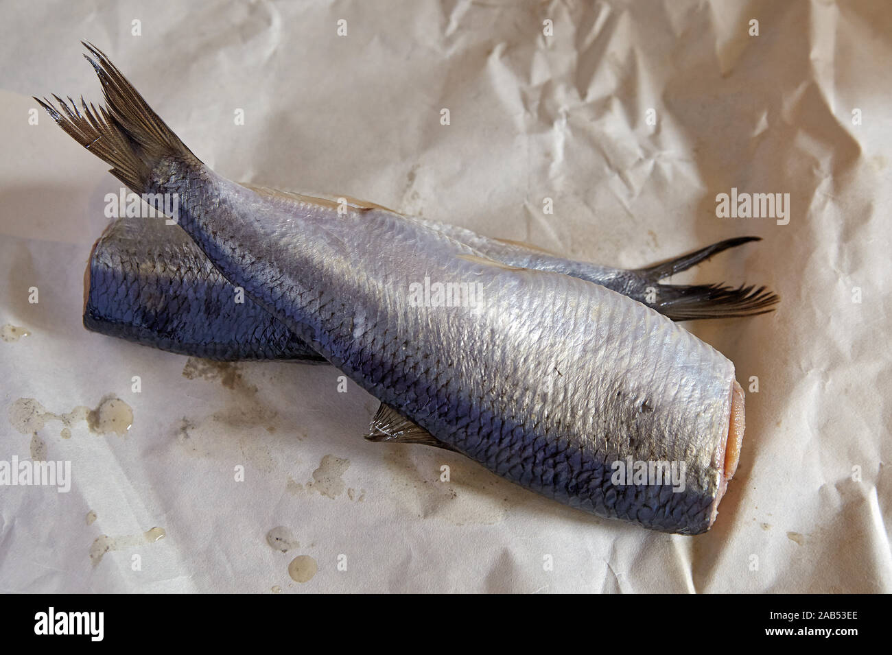 two cured herrings Stock Photo