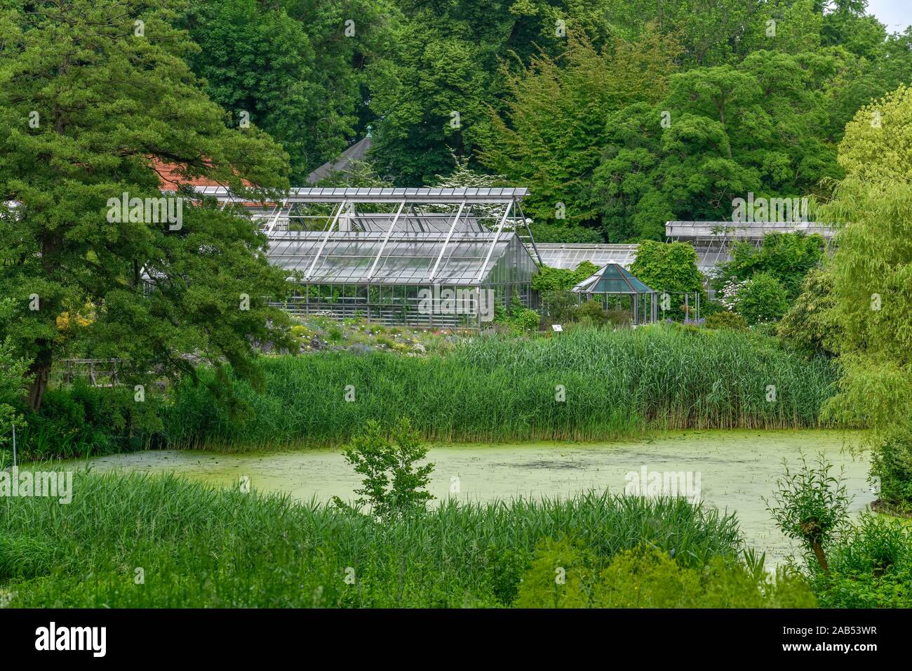 Glashaus Teich Botanischer Garten Munster Nordrhein Westfalen