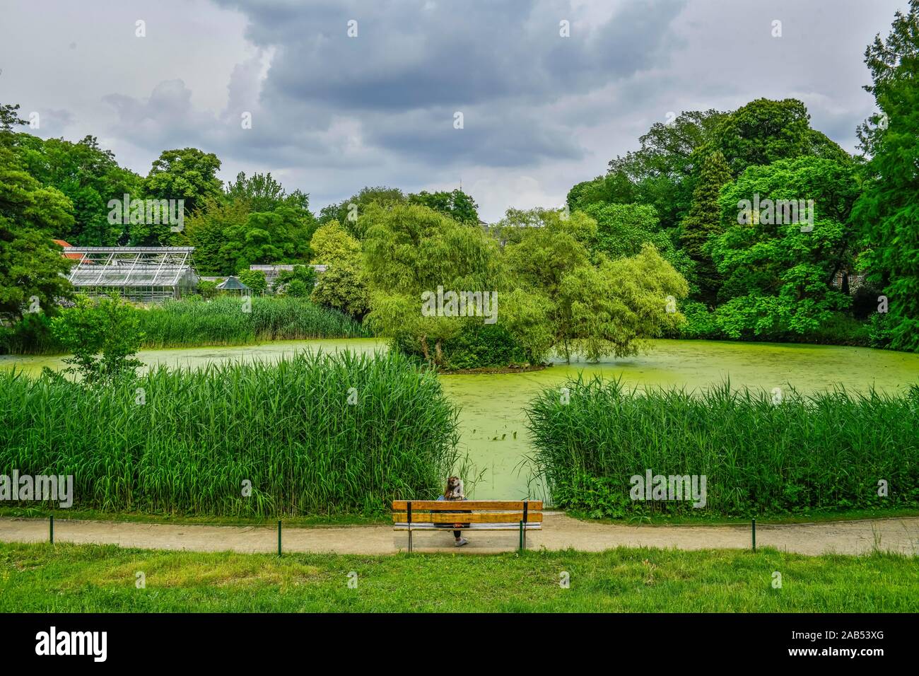 Teich, Botanischer Garten, Münster, NordrheinWestfalen, Deutschland
