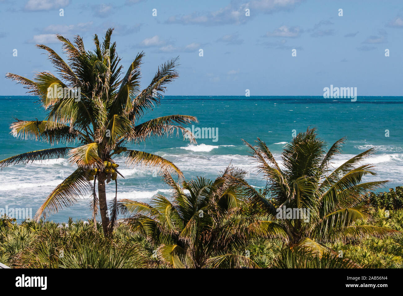 Hutchinson island hires stock photography and images Alamy