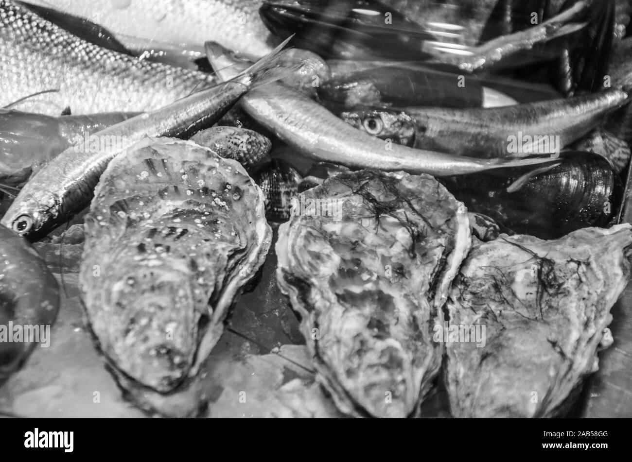 fresh fish & seafood close up view Stock Photo Alamy