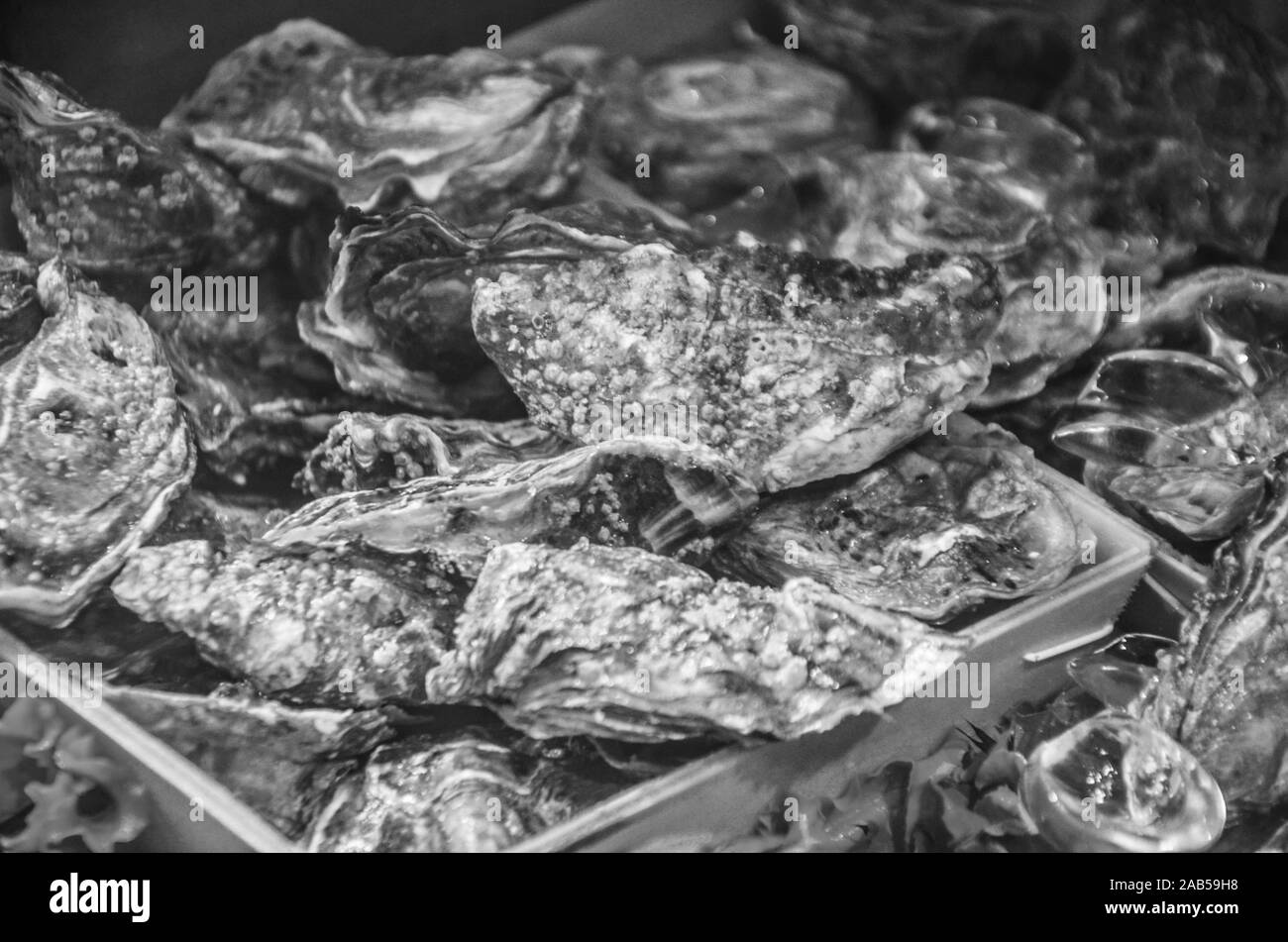 fresh fish & seafood close up view Stock Photo Alamy