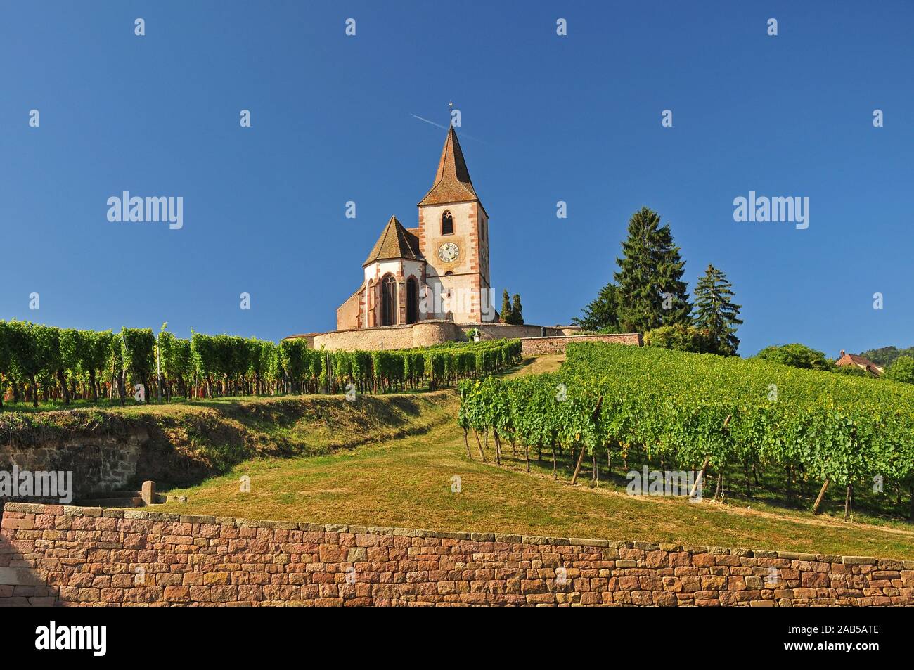 SaintJacquesleMajeur church in the vineyards of Hunawihr in Alsace