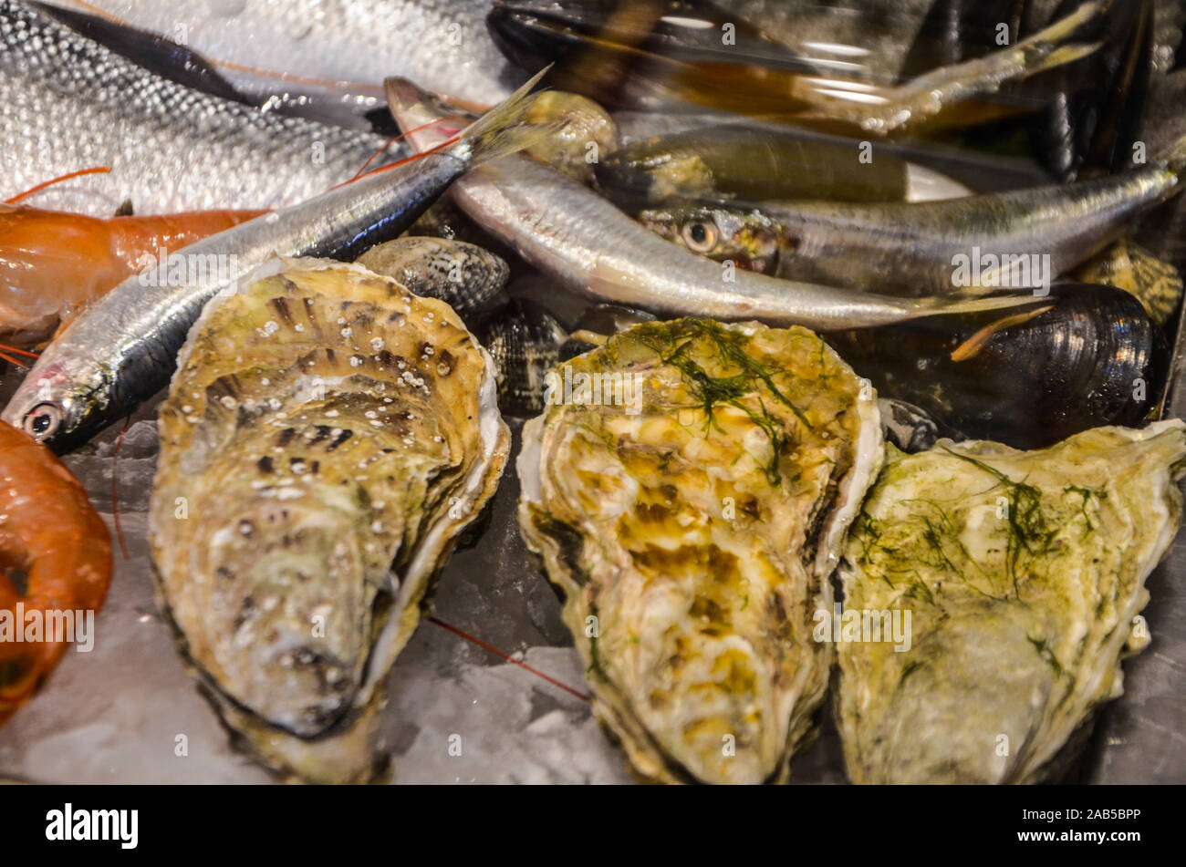 Super close up fresh oysters hi-res stock photography and images - Alamy