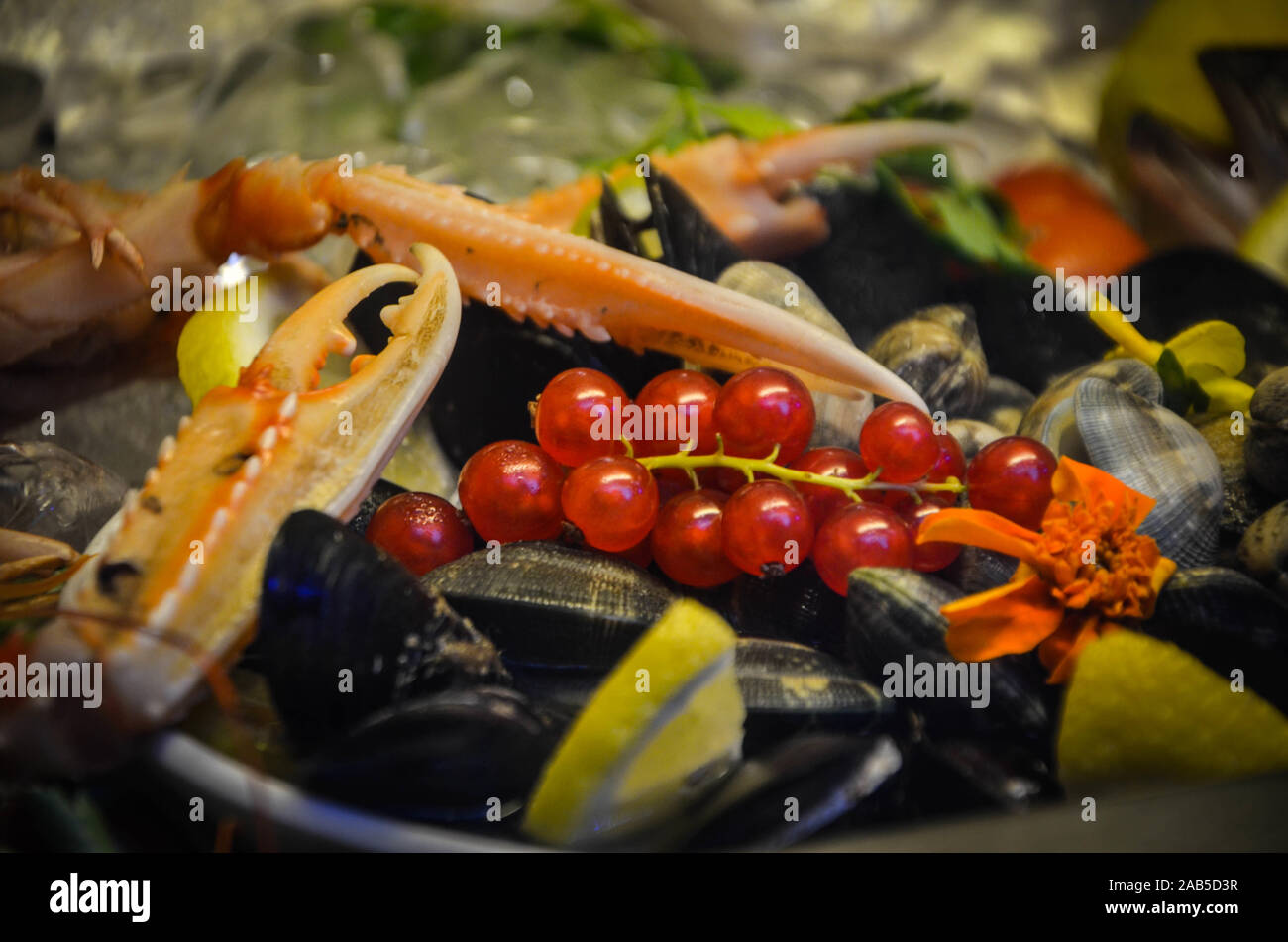 Super close up fresh oysters hi-res stock photography and images - Alamy