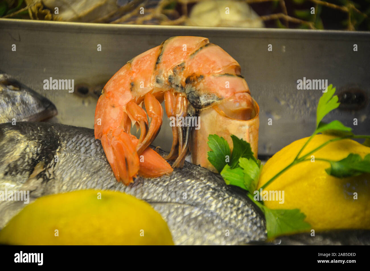 Super close up fresh oysters hi-res stock photography and images - Alamy
