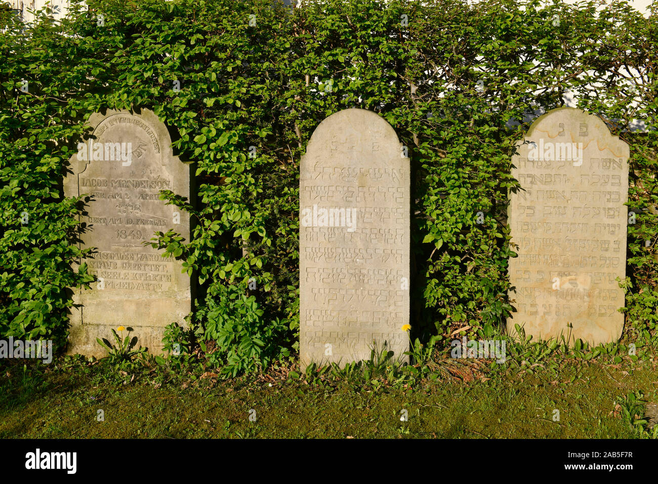 Grabsteine, Alter Jüdischer Friedhof, Winterberg, Vlotho, Kreis Herford, Nordrhein-Westfalen, Deutschland Stock Photo