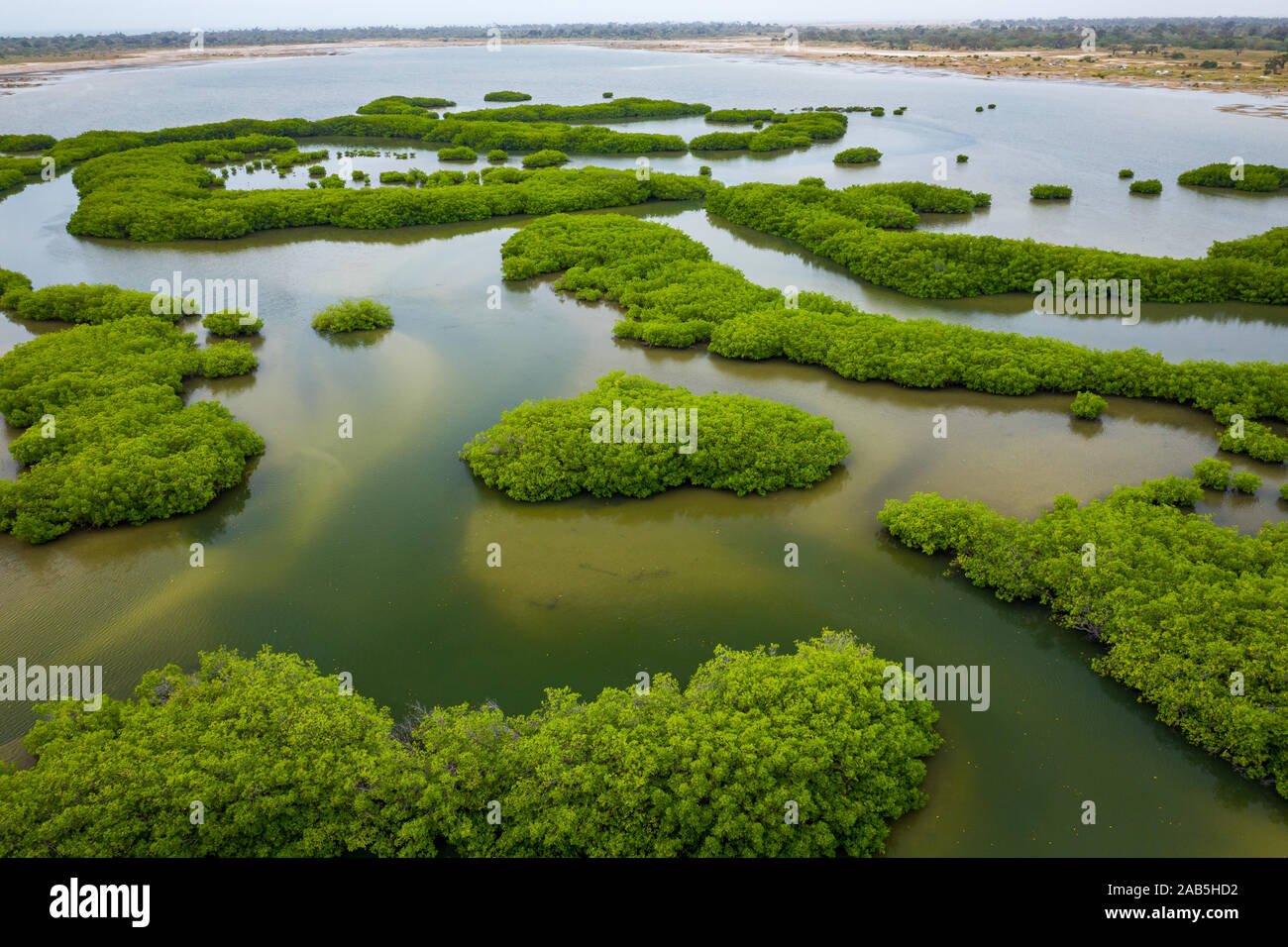Aerial view of mangrove forest in the Saloum Delta National Park, Joal ...