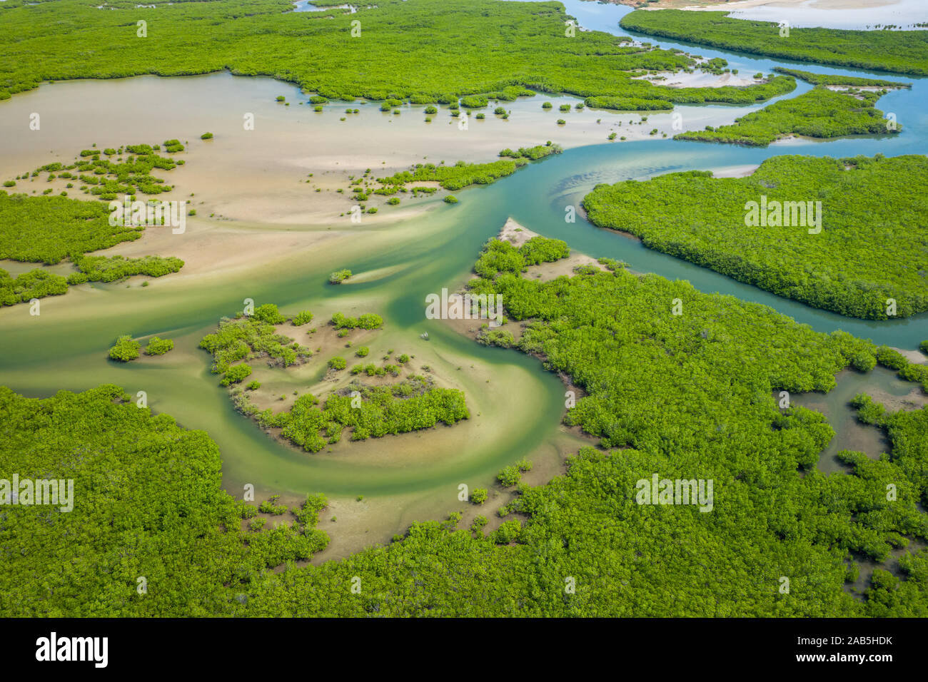 Aerial view of mangrove forest in the  Saloum Delta National Park, Joal Fadiout, Senegal. Photo made by drone from above. Africa Natural Landscape. - Stock Image