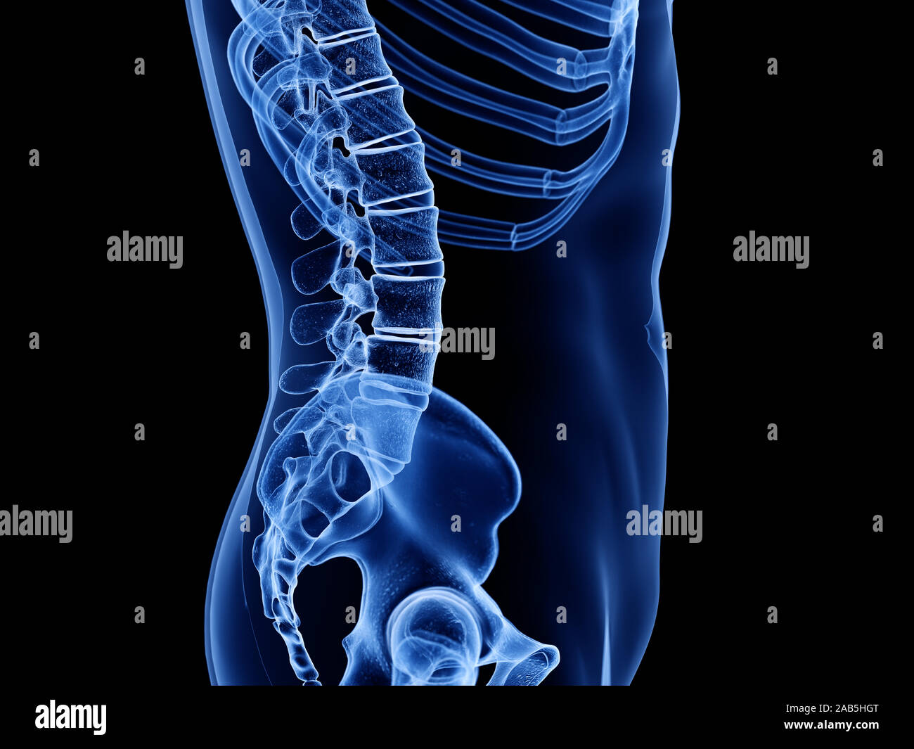 3d rendered medically accurate illustration of the lumbar spine Stock Photo