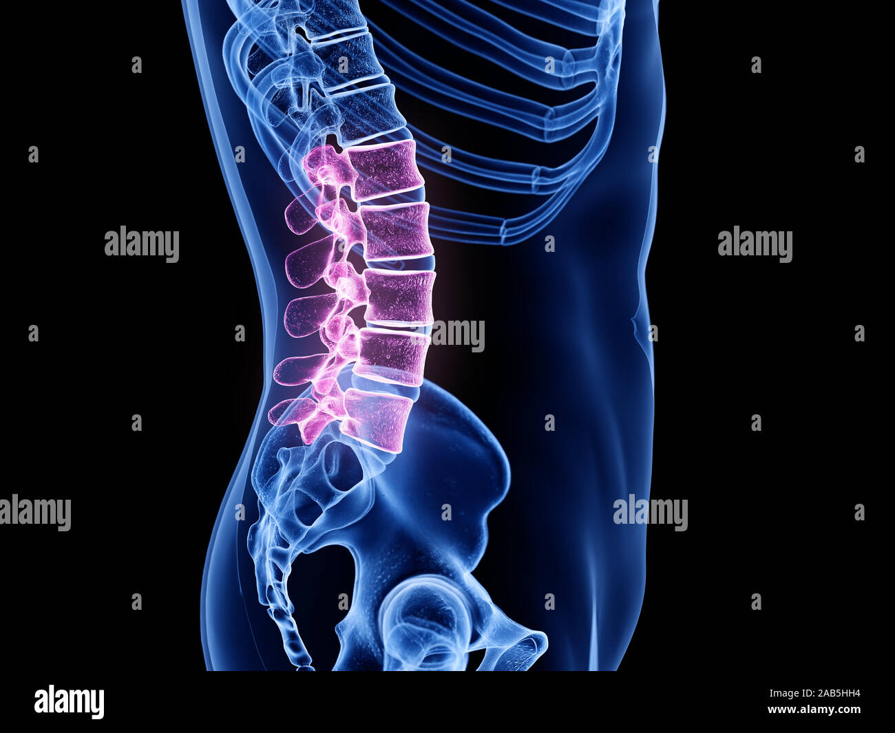 3d rendered medically accurate illustration of the lumbar spine Stock ...
