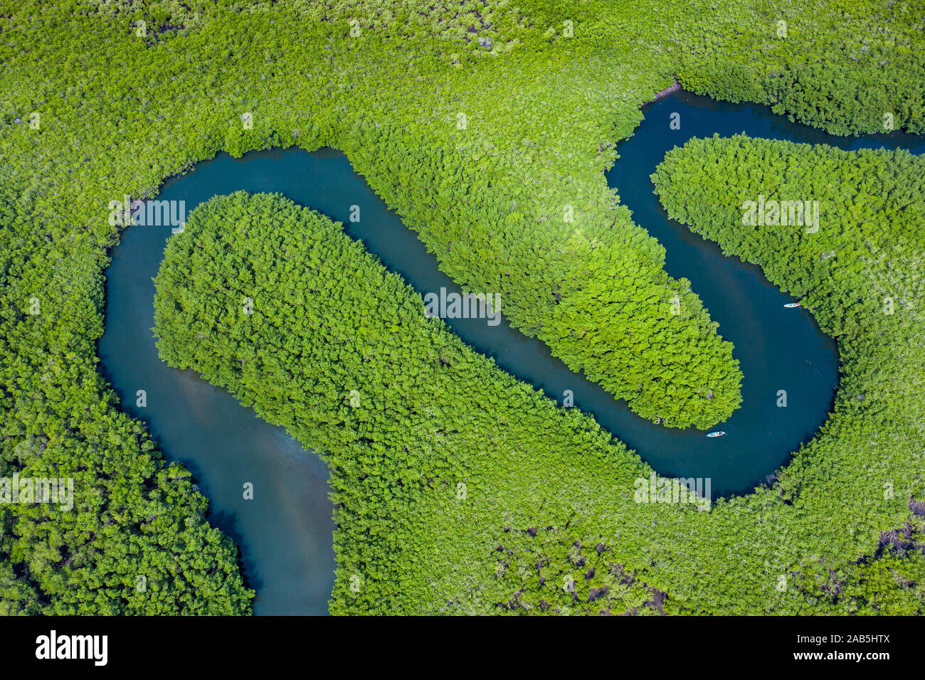 Aerial view of mangrove forest in Gambia. Photo made by drone from above. Africa Natural Landscape. - Stock Image